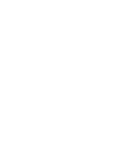 Vector 19